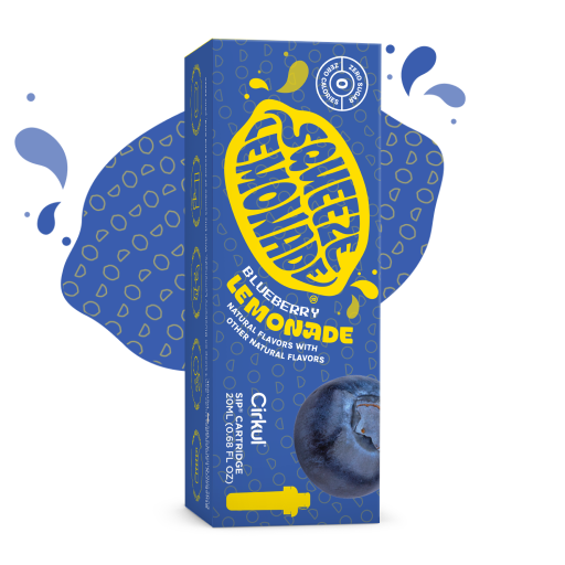 Squeeze Blueberry Lemonade | Modern Pick